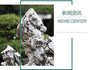 岱海镇
